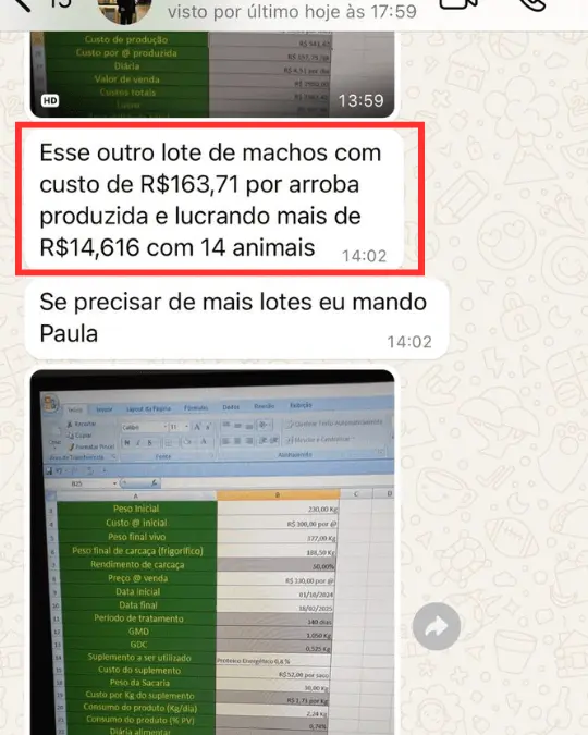 Aluno relata custo de R$ 163,71 por arroba produzida e lucro acima de R$ 14.616 com 14 animais
