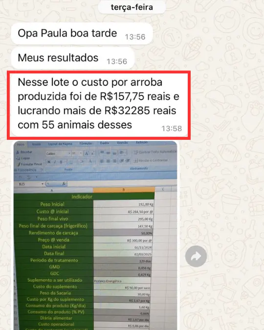 Aluno relata custo de R$ 157,75 por arroba produzida e lucro acima de R$ 32.285 com 55 animais